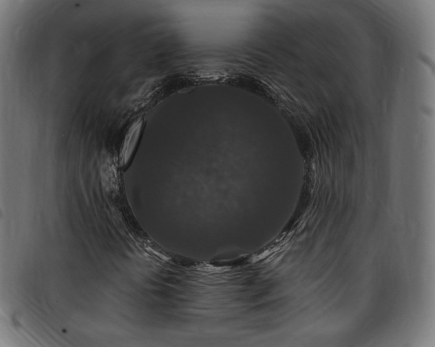 X0000095541394200712141514