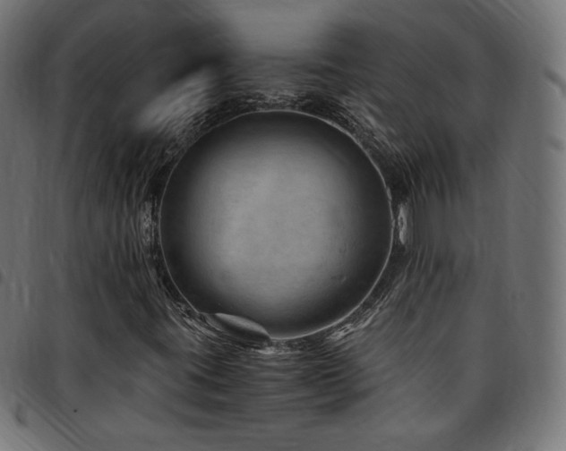 X0000095541395200712141514