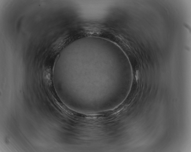 X0000095541396200712141514