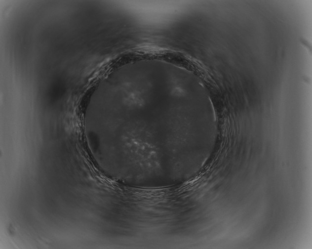 X0000095541397200712141514