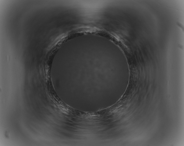 X0000095541399200712141514