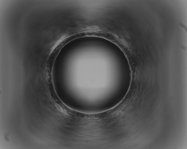X0000095541400200712141514
