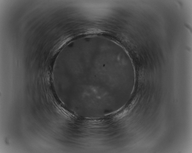 X0000095541401200712141514