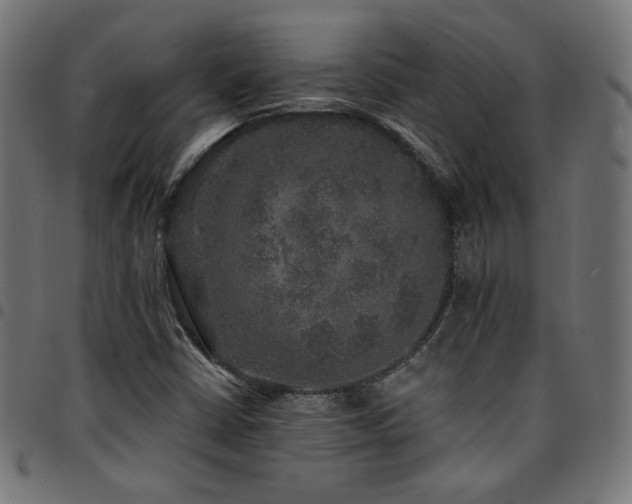 X0000095541402200712141514