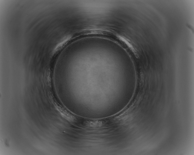 X0000095541403200712141514