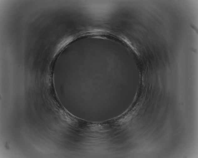 X0000095541405200712141514