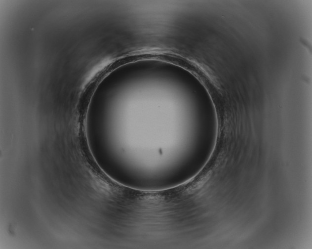 X0000095541406200712141514