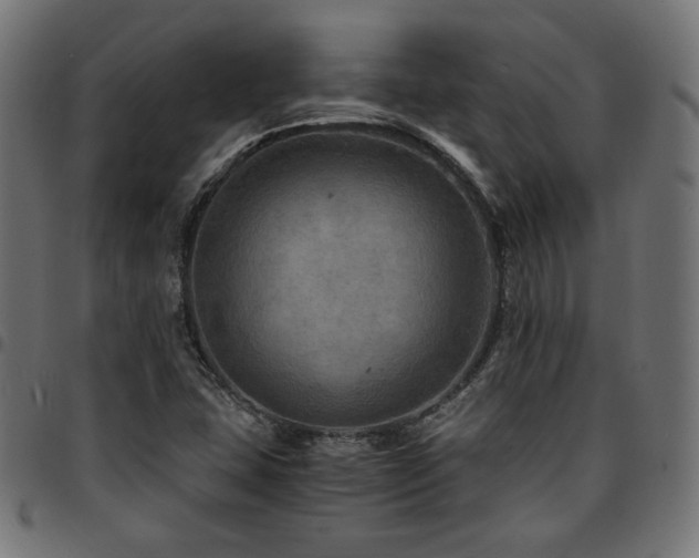 X0000095541407200712141514