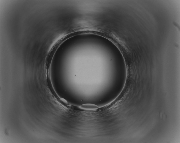 X0000095541408200712141514