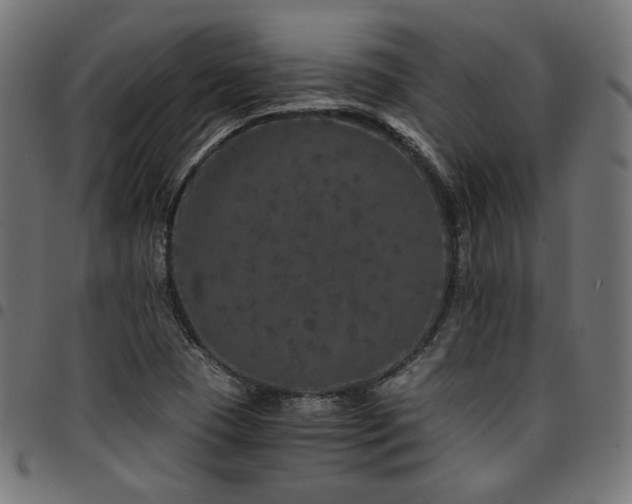 X0000095541409200712141514