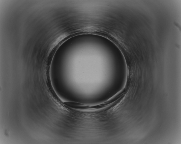 X0000095541410200712141514