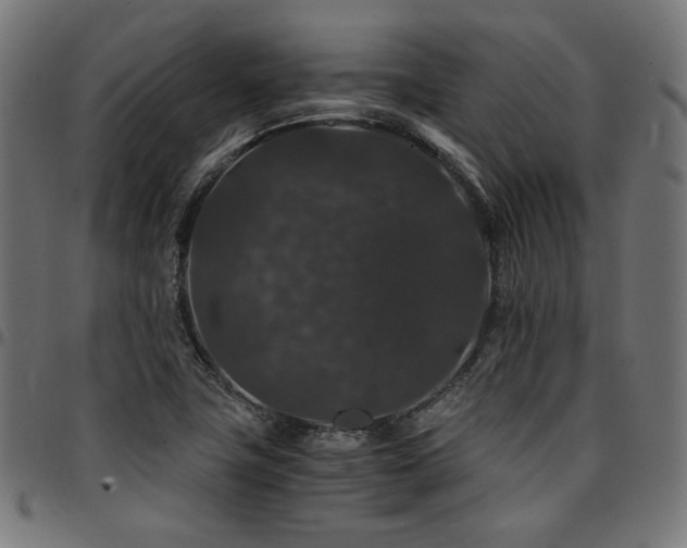 X0000095541411200712141514