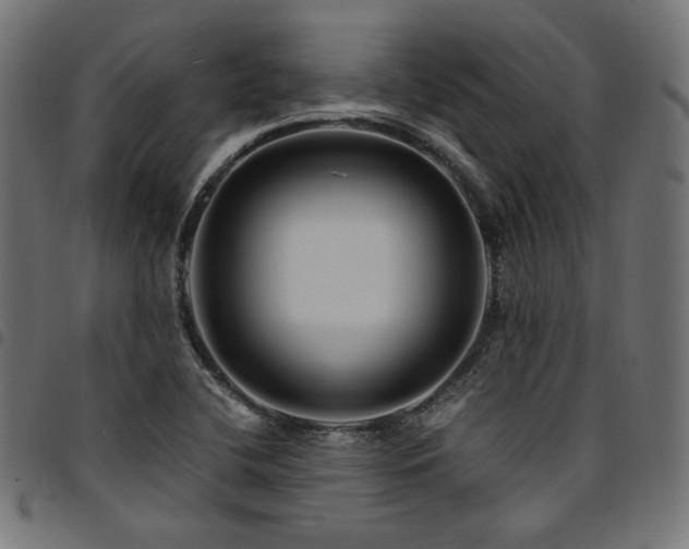 X0000095541412200712141514