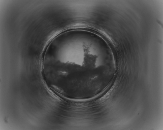 X0000095541413200712141514