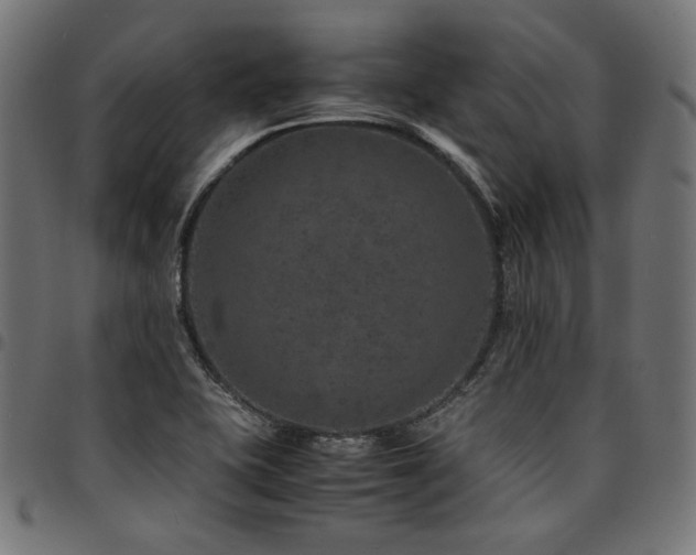 X0000095541415200712141514