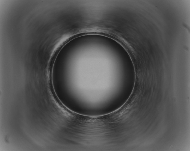 X0000095541416200712141514