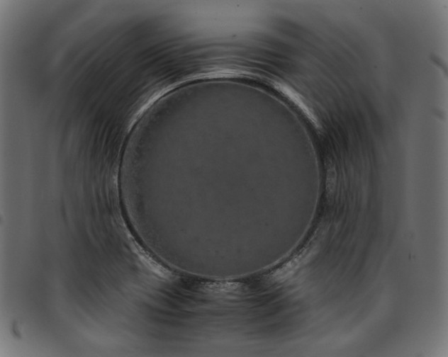 X0000095541417200712141514