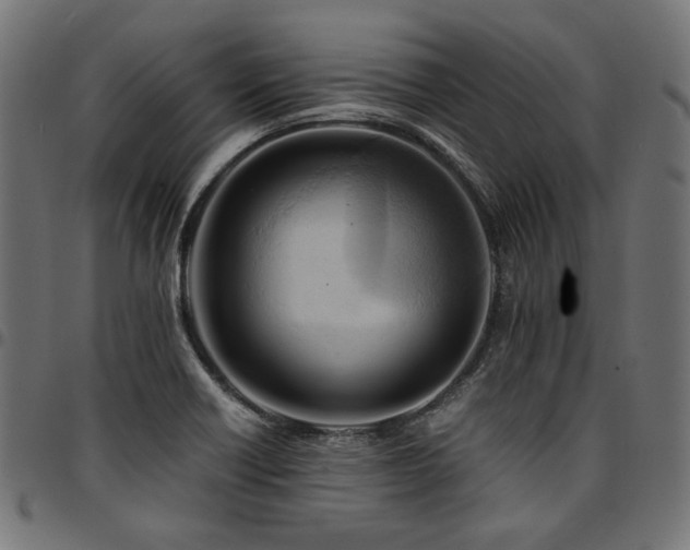 X0000095541418200712141514