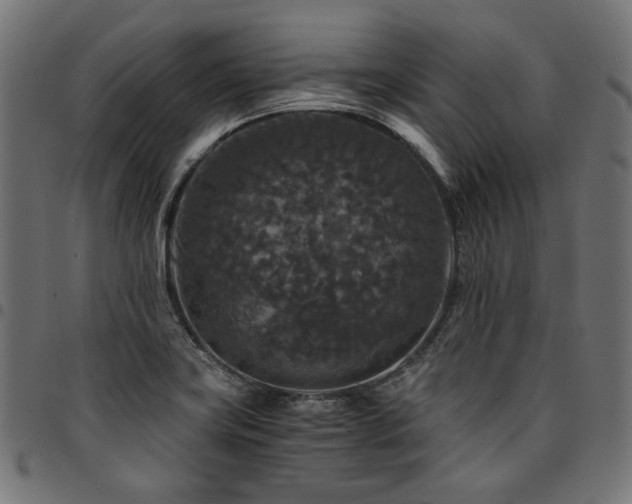 X0000095541419200712141514