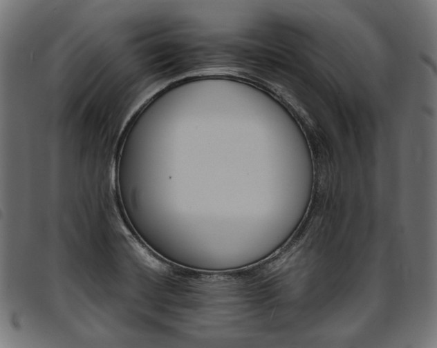 X0000095541420200712141514