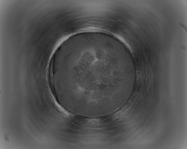 X0000095541421200712141514