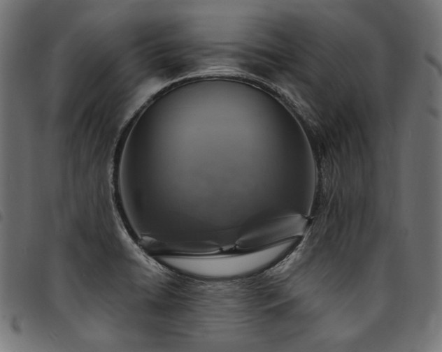 X0000095541422200712141514