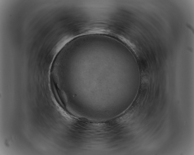 X0000095541423200712141514