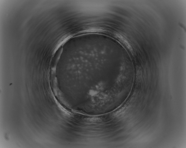 X0000095541425200712141514