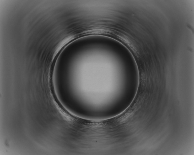 X0000095541426200712141514