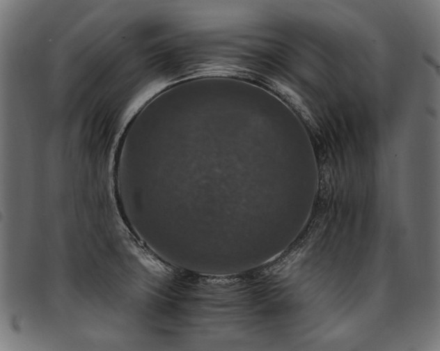 X0000095541427200712141514
