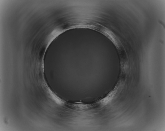 X0000095541428200712141514