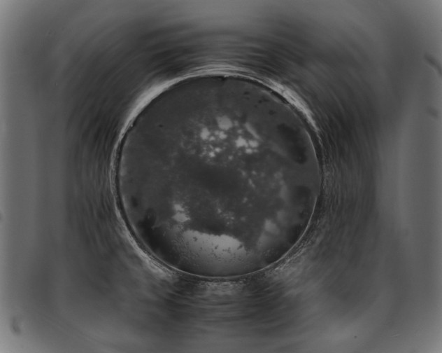 X0000095541429200712141514