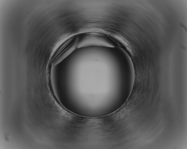 X0000095541430200712141514