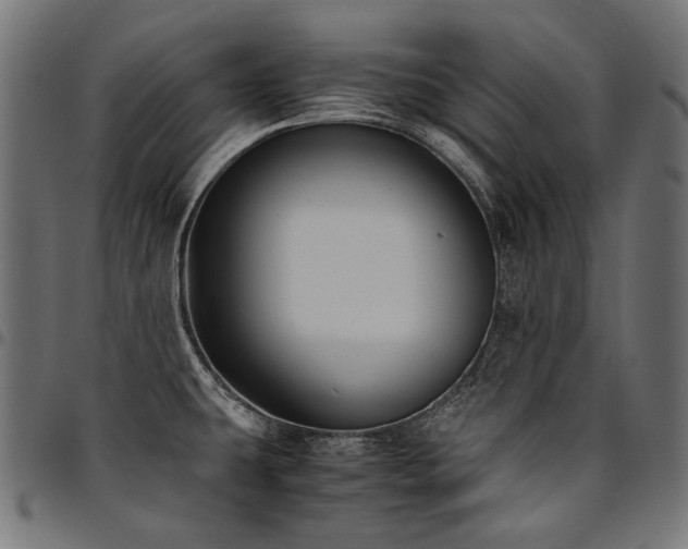 X0000095541431200712141514
