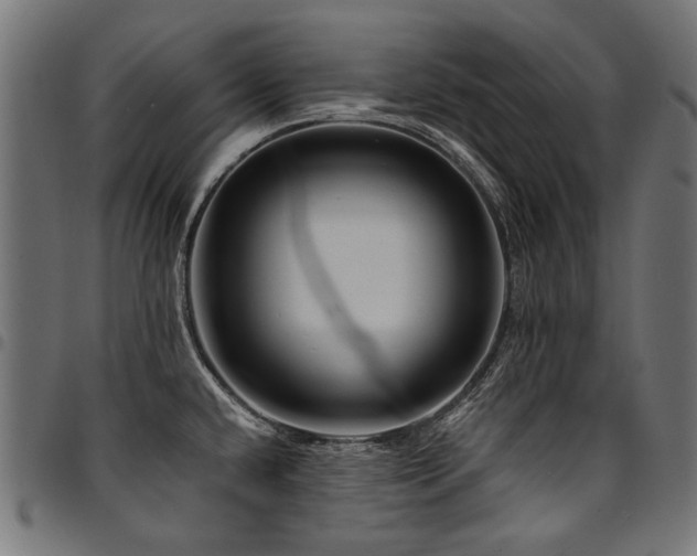X0000095541432200712141514