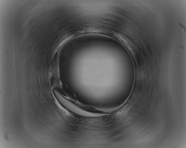 X0000095541433200712141514