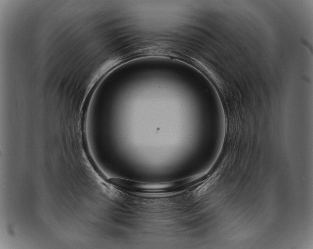 X0000095541434200712141514
