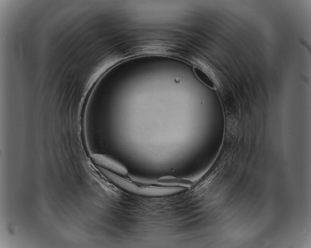 X0000095541435200712141514