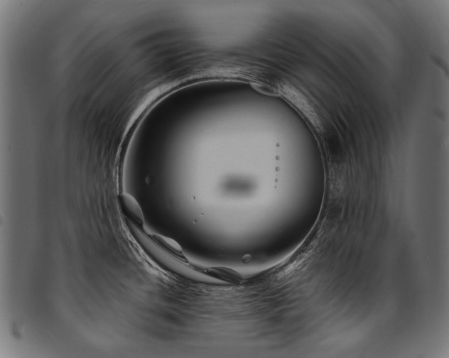 X0000095541436200712141514