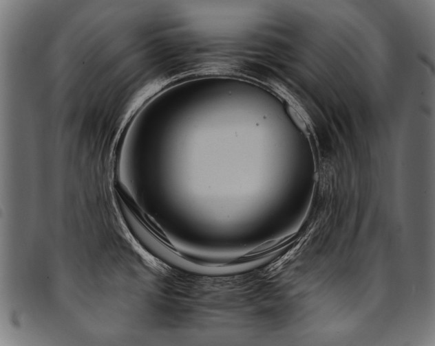 X0000095541437200712141514