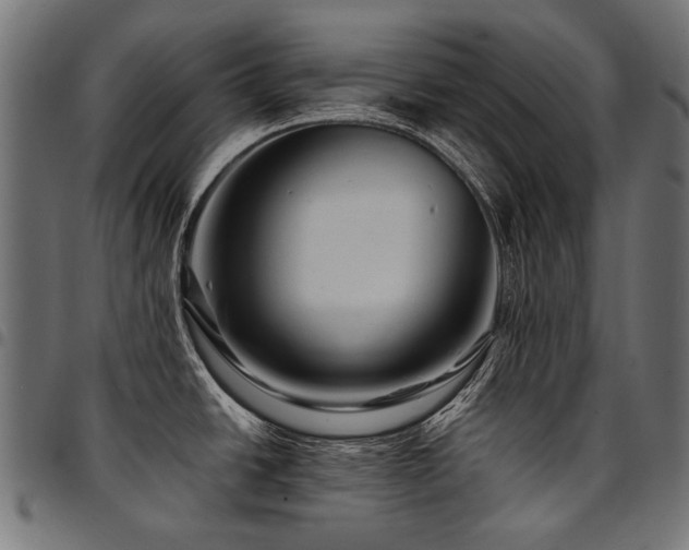 X0000095541438200712141514
