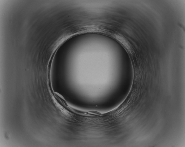 X0000095541439200712141514