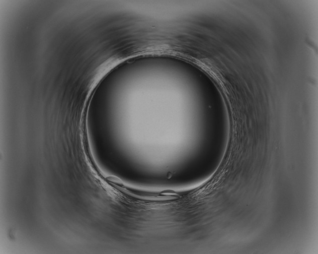 X0000095541440200712141514