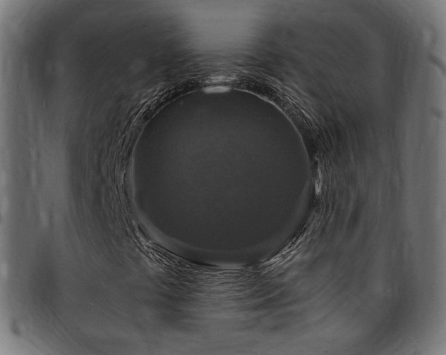 X0000095541441200712141514