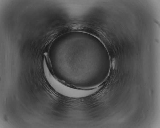 X0000095541444200712141514