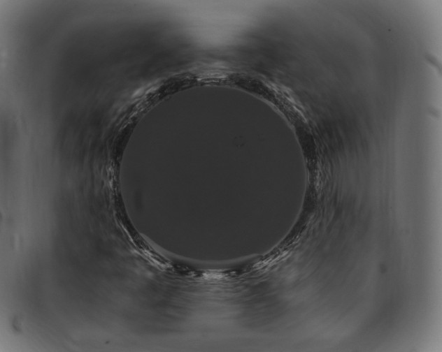 X0000095541445200712141514