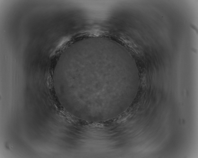 X0000095541446200712141514