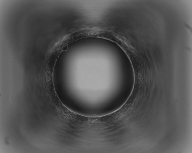 X0000095541447200712141514