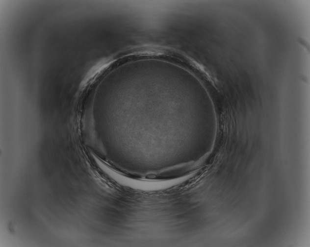 X0000095541448200712141514