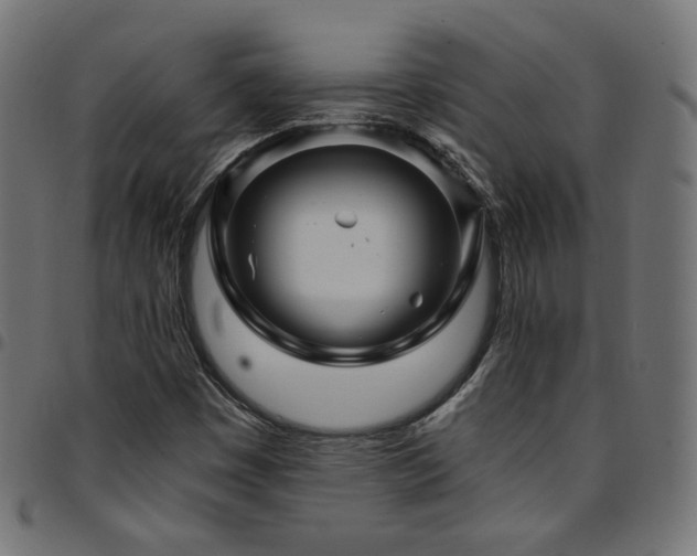 X0000095541449200712141514